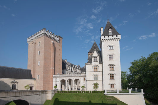 El castillo de Pau - foto para descargar