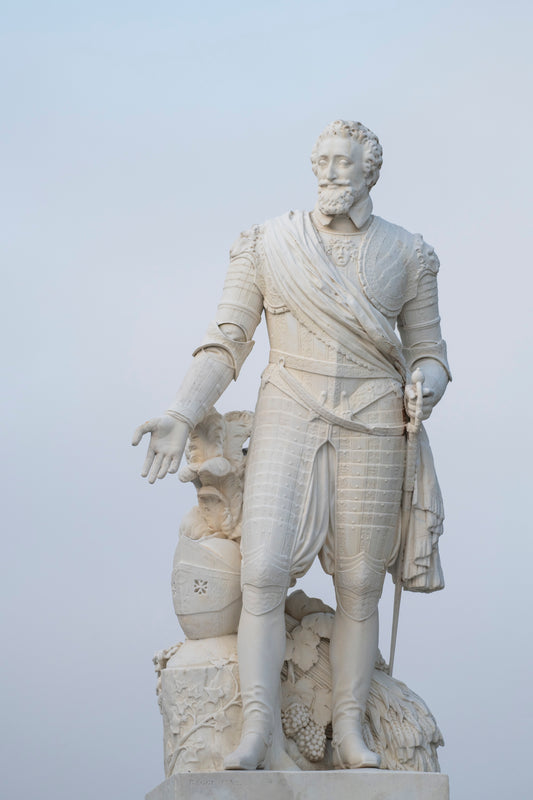 The statue of Henri 4, Place Royale in Pau - photo to download