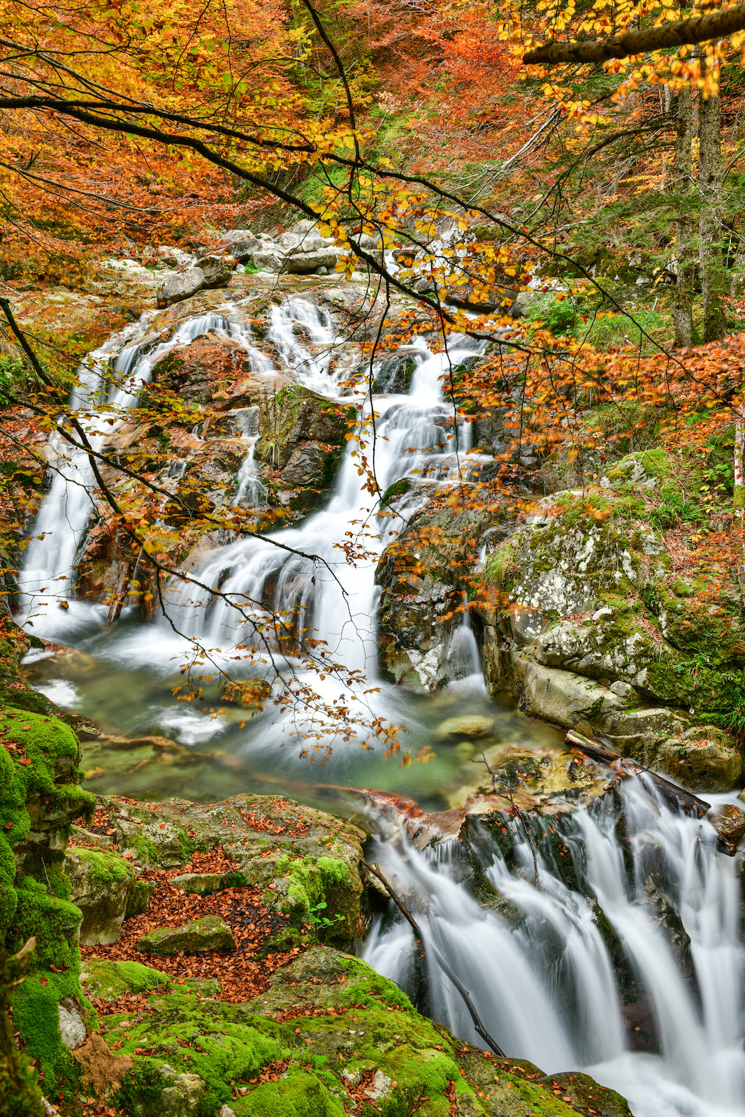 Mountain torrent waterfalls in autumn - Photo to download