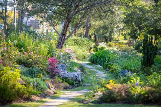 Parterres de flores en el parque Beaumont de Pau - Foto para descargar