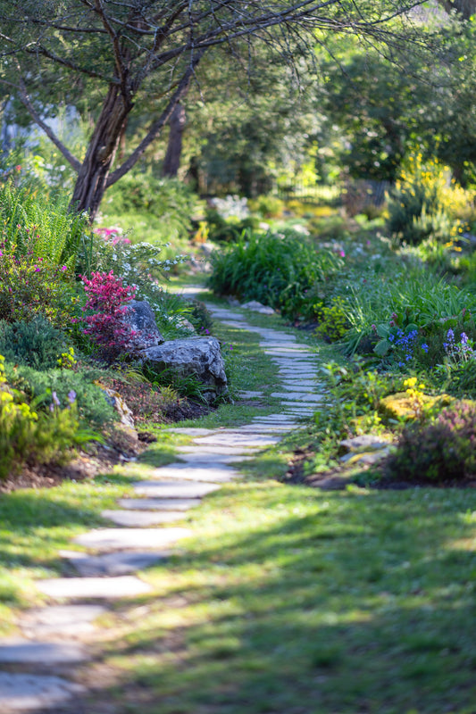 Parterres de flores en el parque Beaumont de Pau - Foto vertical para descargar